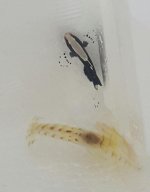 20160129_103427-1.jpg