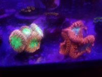 20160820_224639.jpg