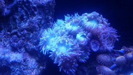 20160523_180636.jpg
