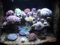 IMG_2534.jpg