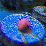 IMG_0517.jpg