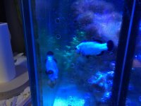 IMG_0048.jpg