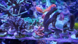 20160129_142852.jpg