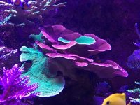 IMG_3166small.jpg