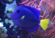 IMG_1789.JPG