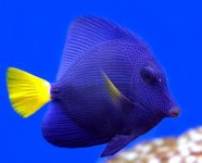 IMG_1788.JPG