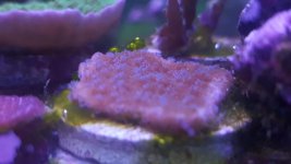 20160524_171239.jpg