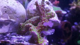 20160524_171255.jpg