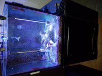 20160822_125604.jpg