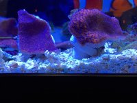 IMG_2353.jpg
