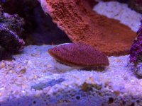 IMG_2358.jpg