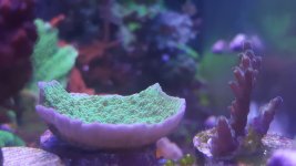 20160524_171242.jpg