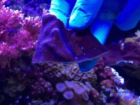 IMG_2351.jpg