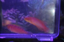 IMG_0445.jpg