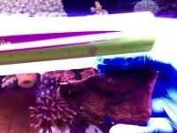 IMG_2347.jpg