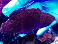 IMG_2349.jpg