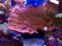 IMG_2355.jpg