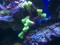 IMG_2572.jpg