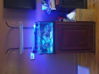 20160821_120518.jpg
