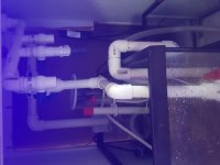 20160821_120534.jpg