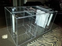 neptune custom king sump.jpg