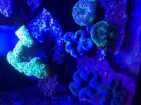 IMG_1891.jpg