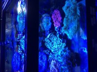IMG_1886.jpg