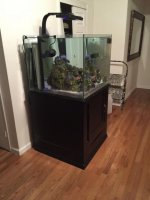 IMG-20160321-WA0001.jpg