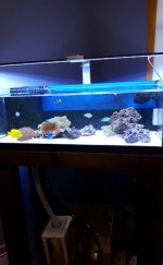 VZM.IMG_20160524_172047.jpg