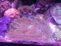 20150813_201039.jpg
