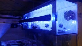 20160323_162953.jpg