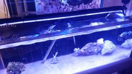 20160323_163008.jpg