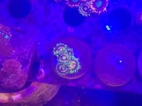 20160824_234116.jpg