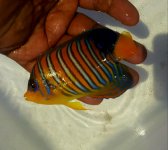 20160525_111325.jpg