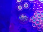 20160824_234108.jpg