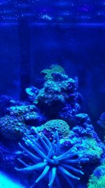 2016-01-27 20.18.11.jpg