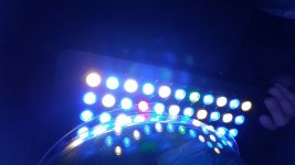 2016-01-27 20.17.16.jpg