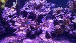 20160315_200131.jpg