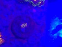 20160824_232308.jpg