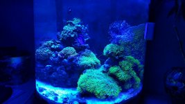 2016-01-27 20.16.25.jpg