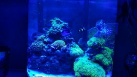 2016-01-27 20.15.57.jpg