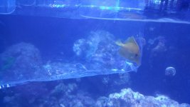 20150616_201821.jpg
