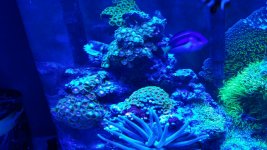 2016-02-01 06.58.11.jpg