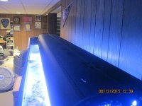 IMG_2370.jpg
