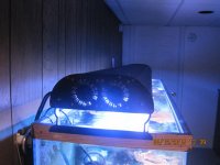 IMG_2371.jpg