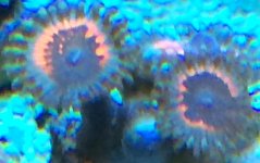 IMG_2162.jpg