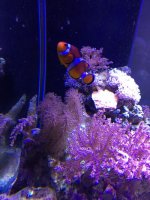Image1464228439.209708.jpg