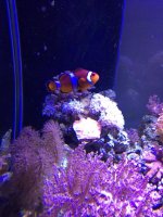 Image1464228453.333811.jpg