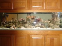 125 GALLON OAK 3 comp.jpg