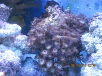 IMG_2357.jpg